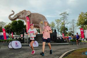 BIB: 
                            <button type="button" onclick="openModal(26529195)" class="btn btn-primary btn-sm float-right btn-popup" data-toggle="modal" data-target=".modal-high-quality">
                        <i class="fas fa-shopping-cart"></i> Add to Cart
                    </button>
                                            <button type="button" onclick="isThisMe(26529195, true)" class="btn btn-success btn-sm float-right btn-popup btn-isme hidden" data-toggle="tooltip" data-placement="bottom" title="นี่คือรูปของคุณใช่ไหม คลิกที่นี่เพื่อเอาเข้าอัลบั้ม">
                        <i class="fas fa-plus"></i> Add to album
                    </button>
                    <button type="button" onclick="isThisMe(26529195, false)" class="btn btn-warning btn-sm float-right btn-popup btn-isnotme hidden">
                        <i class="fas fa-ban"></i> Remove from album
                    </button>